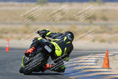 media/Apr-10-2022-SoCal Trackdays (Sun) [[f104b12566]]/Turn 11 Backside (945am)/